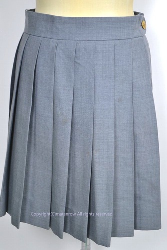  _ސ쌧 lw@wZEwZ ăXJ[g JNA0481