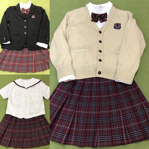 愛知県立犬山南高等学校 女制服 - その他