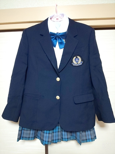 新羽高校 制服 スカート プリーツ 洋服 Tシャツ 新栄 城郷 おそ