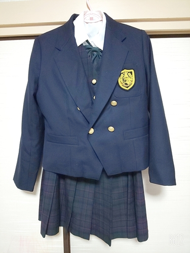  �������s���ߐ썂���w�Z���~�����`�F�b�N���X�J�[�g��