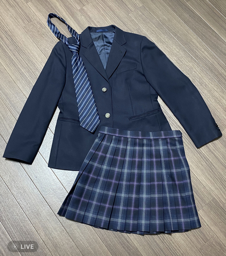 愛用 飛鳥未来高校 女子ブレザー 制服 超美品 テーラードジャケット Walkerhuntington Com