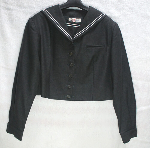 ʌ ʌ@ʌ_HȊwwZ@~߂̂