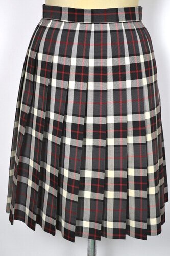  ʌ ʕwZ `FbNăXJ[g NA0463