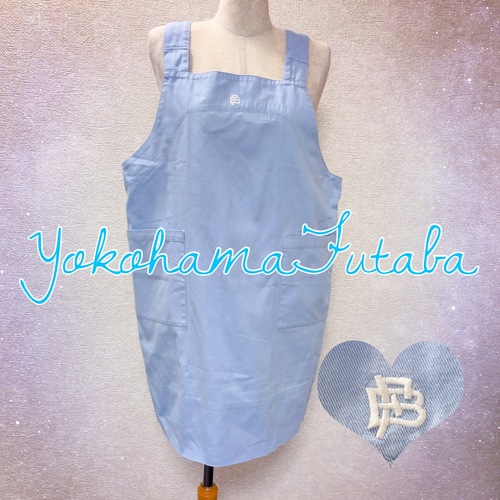 �_�ސ쌧 ���l�ԗt���w�����w�Z�@���l�ԗt�����w�Z�@�~�b�V�����X�N�[���@�|�����Ɏg�p�@�G�v�����@