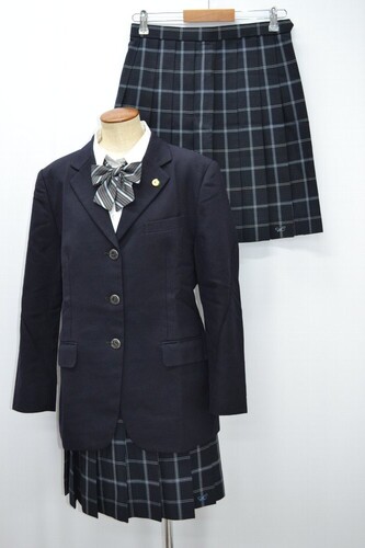  ���傫�� �_�ސ쌧�� ���؏��ƍ����w�Z �u���U�[�~�� �ăX�J�[�g ���{�� �Z�� ��NA0452