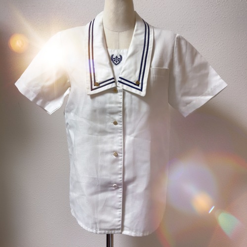 �_�ސ쌧 �ߐ쏗�q�����w�Z�@�ߐ쏗�q�@�����u���E�X�@�@�ߐ썂�Z