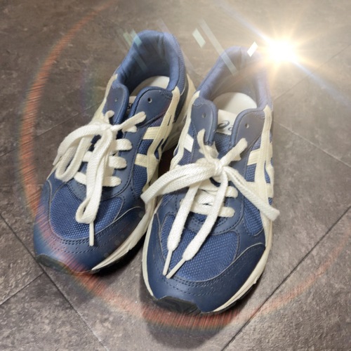 �_�ސ쌧 �ߐ썂���w�Z�@�ߐ썂�Z�@���q�@�̈�V���[�Y�@�O�����@24.5