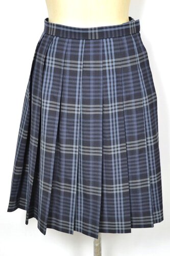  ����ʌ��� ��Ս����w�Z �ăX�J�[�g ��NA0104