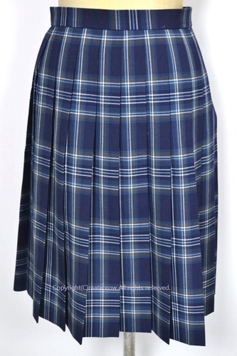  Ǖi s iRwZ ăXJ[g NA0458