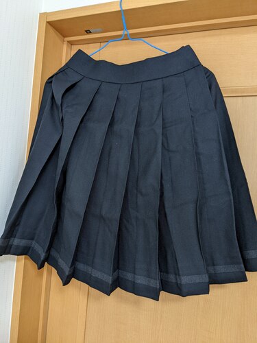 広島県 [ELLE]レア！進徳女子高校 旧　冬スカート