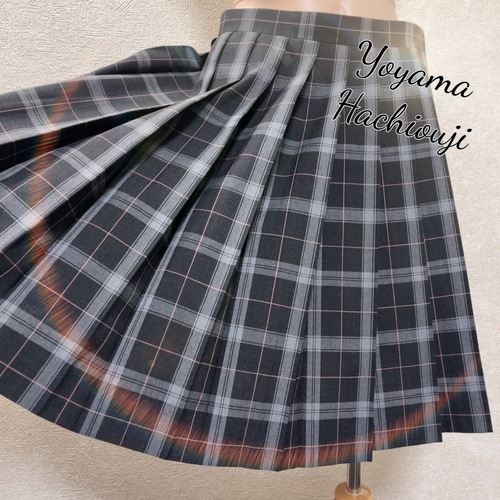 �����s �����q�s�����R���w�Z�@���R���w�Z�@�ăX�J�[�g�@�O���[�n�ɒW���s���N���C��