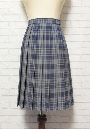 和歌山県 有田中央高校 夏服スカート(W68×L54) 女子制服卒業生の保管品