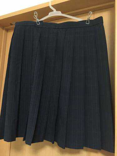 広島県 【大きい】広島国際学院高校　女子制服　夏スカート