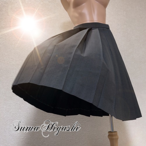 ���Ɍ� ���Ɍ����{���������w�Z�@�i�w�Z�@�΍��l60 �{�������Z�@�ăX�J�[�g�@�O���[�n