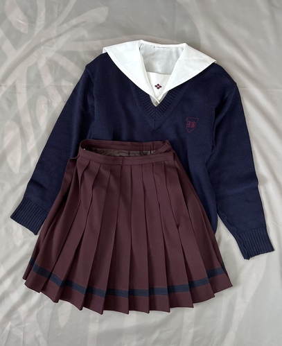 共愛学園高等学校制服 - レディース その他 共愛学園高等学校制服 - レディース その他