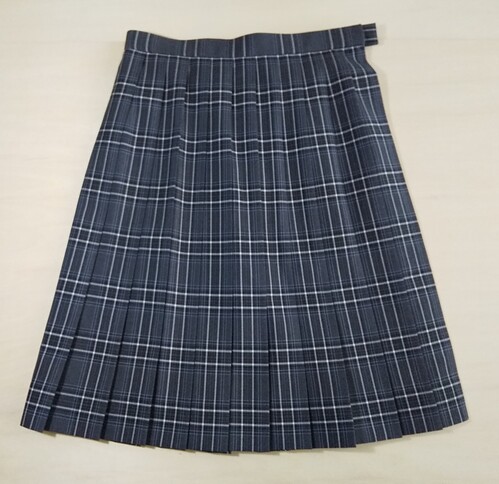 東京都 都立 小岩高校  スカート