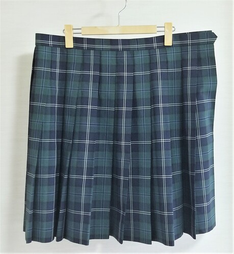 東京都 W86 大きめ 都立光丘高等学校 可愛いい緑系夏スカート