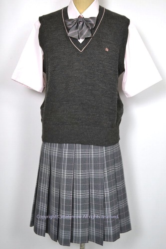 浜松 浜北西高校 冬服 夏服 シャツのみ