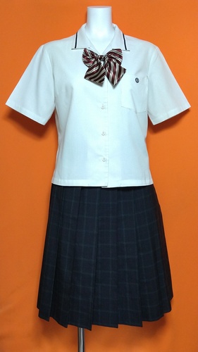 大阪府 聖母女学院中学高校 美品 制服 ブラウス チェックスカート 夏服 セット。
