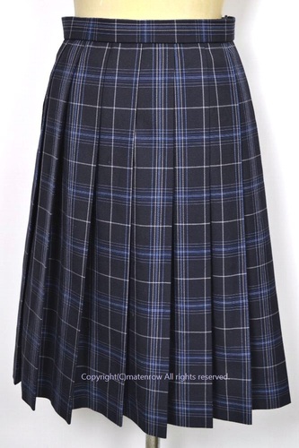  ����t�� �s�񏗎q�����w�Z �~�X�J�[�g ��NA0108