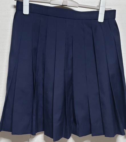  東京都文京区中学校 制服 スカート 冬用 大きいサイズ　スクールパール