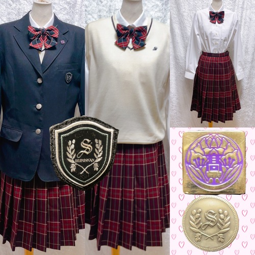 愛知県 学校法人平山学園　清林館　私立冬服　女性らしいスタイリングを叶える