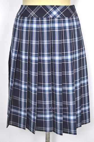  ●綺麗なチェック柄夏スカート(B0852) 不明