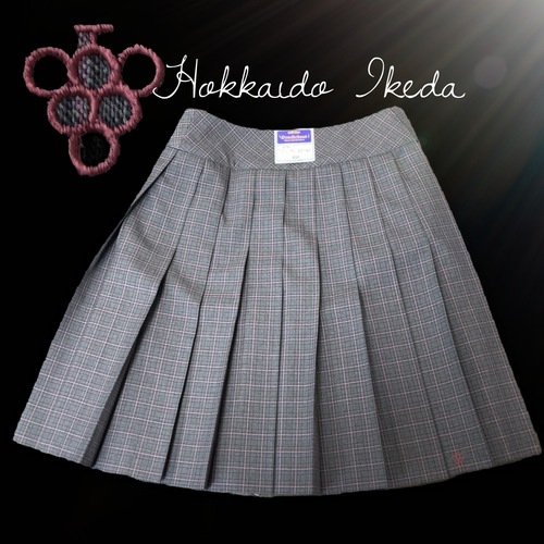 北海道 北海道池田高等学校　葡萄の町池田町　スカート裾に可愛い葡萄刺繍　夏スカート