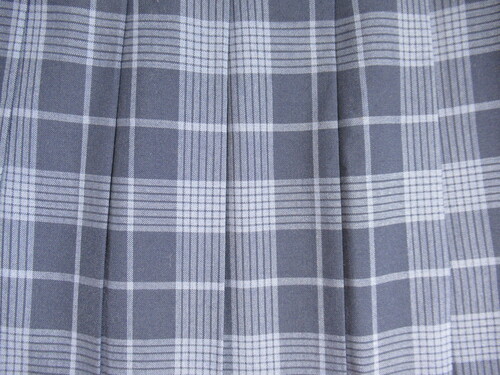 [不明] 8944　420　大きなサイズ！夏スカート Predichant 紺＋青 チェック柄