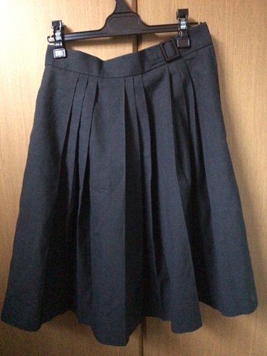 静岡県 浜松修学舎高校　スカート