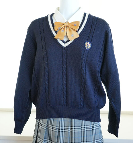  ▽兵庫県立太子高校 指定セーター （サイズM) 女子制服卒業生の保管品