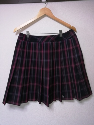 埼玉県 埼玉県の私立女子校 秋草学園高校の冬用スカート