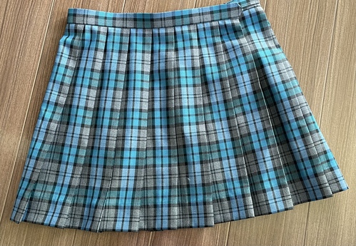 神奈川県 美品スカート 新栄 大きなサイズ