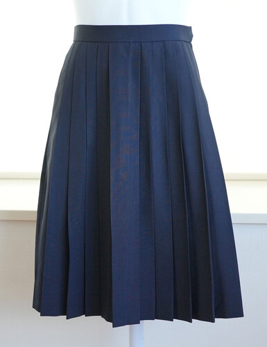  ▽愛知県立知立高校 夏服スカート（w63） 女子制服卒業生の保管品。