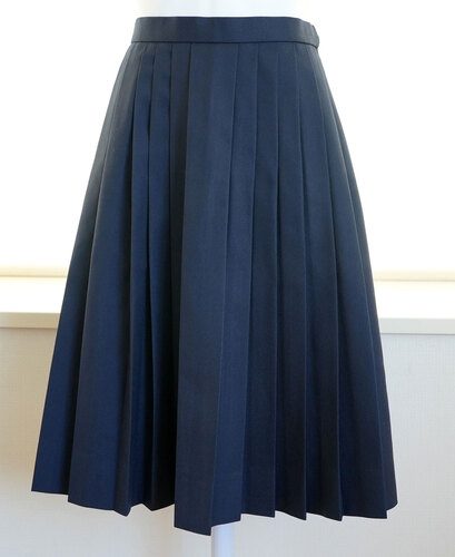  ▽愛知県立知立高校 夏服スカート（w66） 女子制服卒業生の保管品。