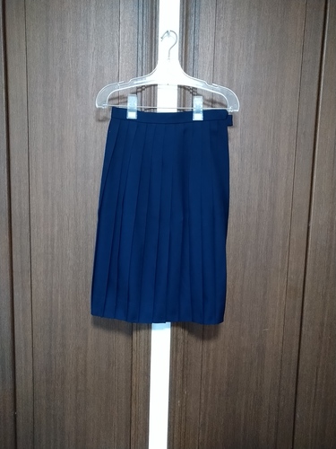  奈良県　女子中学　紺　プリーツスカート