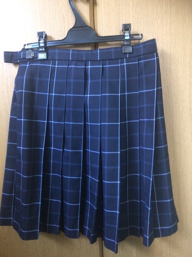 静岡県 静岡県横須賀高校　スカート
