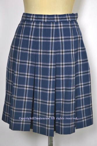  ●東京都 立川女子高等学校 夏スカート