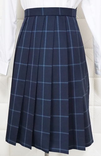 千葉県 県立 柏陵高校 女子 制服 冬服 チェックスカート