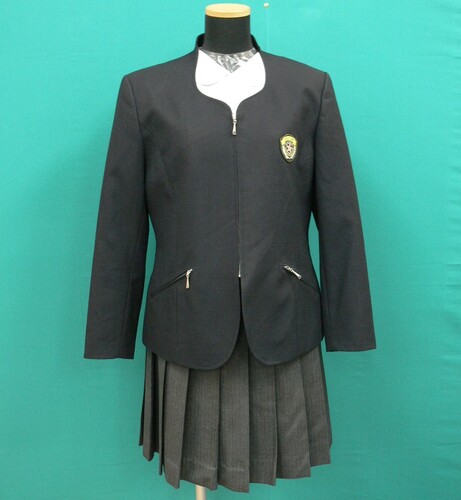 奈良県 #5246　《奈良県立　高取国際高校》黒系チェックブレザー制服冬セット　サイズ11