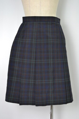  �������s �����w�@�����w�Z �ăX�J�[�g��VT0100