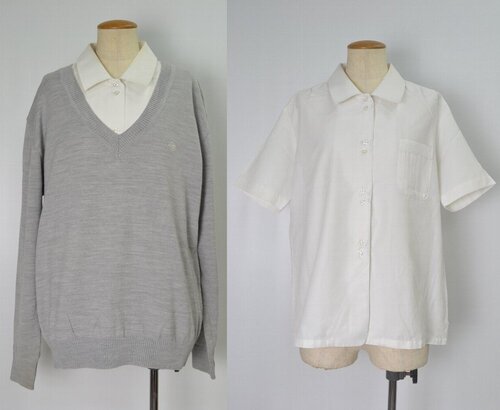  �������s �c�����z�w���������E������ �~�ău���E�X �Z�[�^�[��VT0114