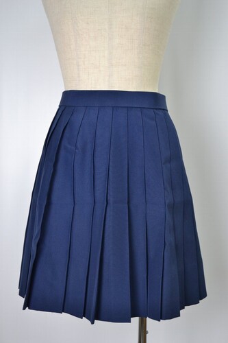  ����t���� ���˘Z�������w�Z �ăX�J�[�g��VT0149