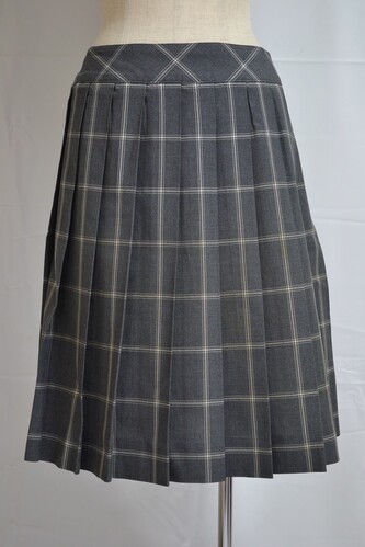  �������s �����w�������w�Z �ăX�J�[�g��VT0518