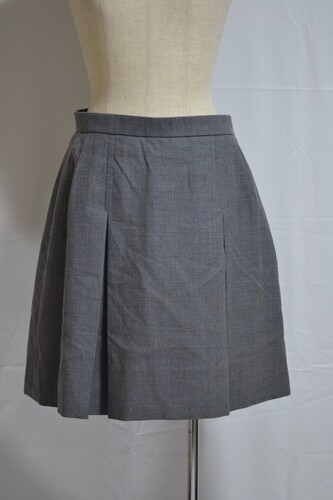  ����t���� �Óc�������w�Z �~�X�J�[�g ���n�t����VT0534