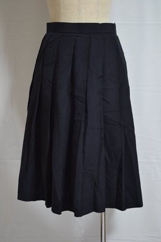  ����size ��ʌ��� ��{�썂���w�Z �ăX�J�[�g��VT0558