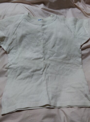 [�s��] �̑����@��@�����@���q�p�@140�T�C�Y��