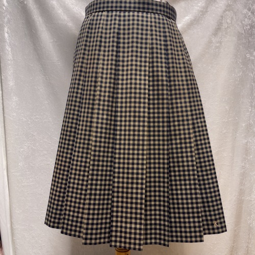 ��t�� �h����w�����s�ꍂ���w�Z�@�ăX�J�[�g�@�g�����f�B�ȃu���b�N�`�F�b�N