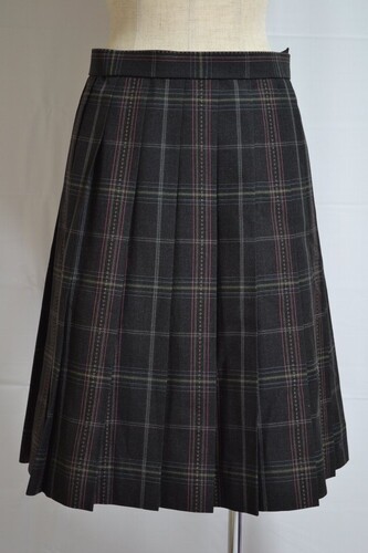  ����t���� ���썂�������w�Z �~�X�J�[�g��VT0597