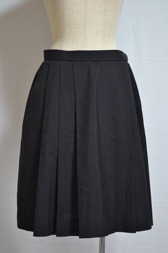  ����t�� ��t�p�a�����w�Z �ăX�J�[�g��VT0620